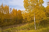 пейзажи пейзажи
