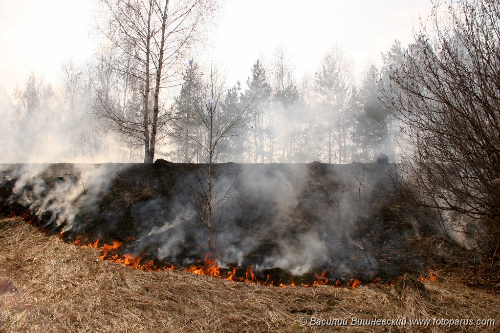 Fire_2006_0430_1606.jpg - Весенние пожары в лесу