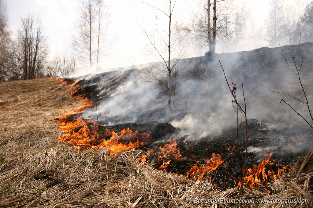 Fire_2006_0430_1607.jpg - Весенние пожары в лесу