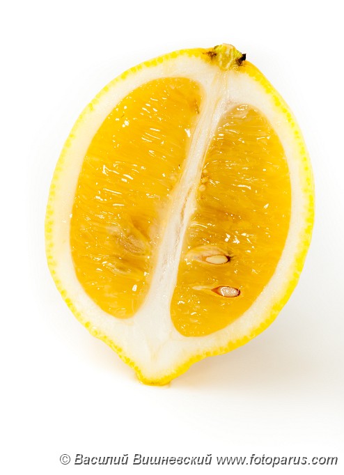 Citrus_limon_2010_0202_1708.jpg - Vertical Segment of a lemon on a white background.