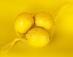 Citrus_limon_2010_0202_1554