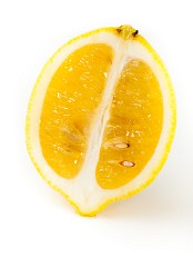 Citrus_limon_2010_0202_1708