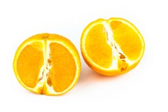 Citrus_sinensis_2010_0202_1658-2