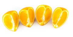 Citrus_sinensis_2010_0202_1704