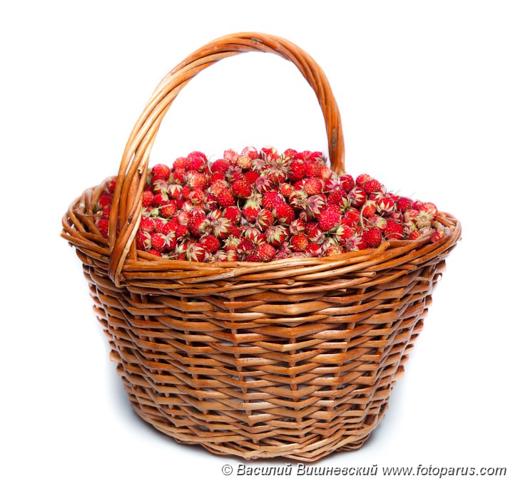 Fragaria_viridis_2010_0616_2042.jpg - Земляника зеленая, клубника, полуница, Ripe red berries (Fragaria viridis), Wild Strawberry.