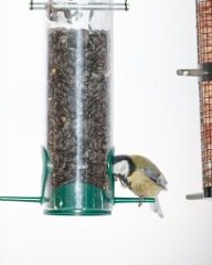 birds_feeding_Parus_major_2012_0205_1707