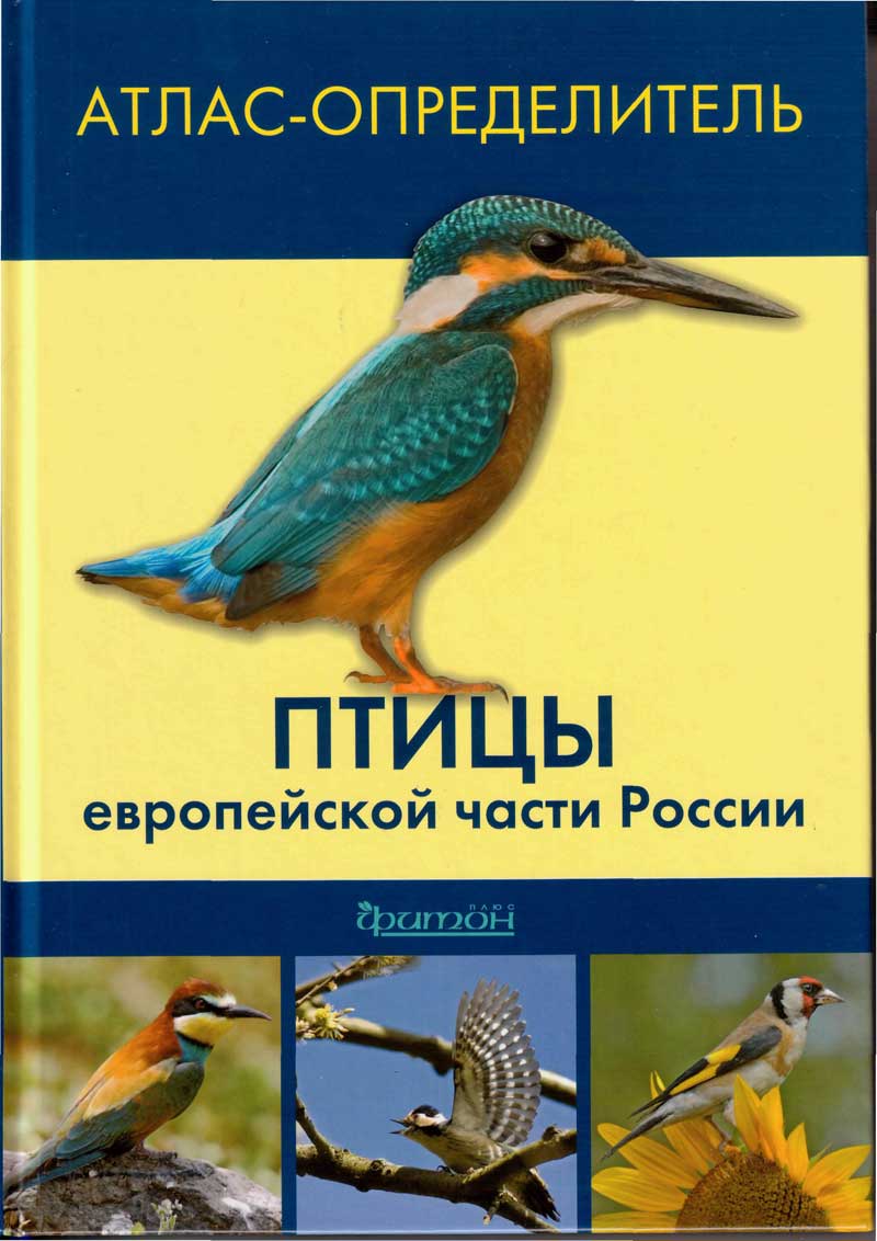 Определитель птиц