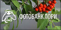 Фотобанк Лори